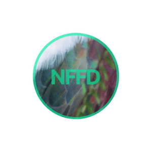 NFFD-Wellington